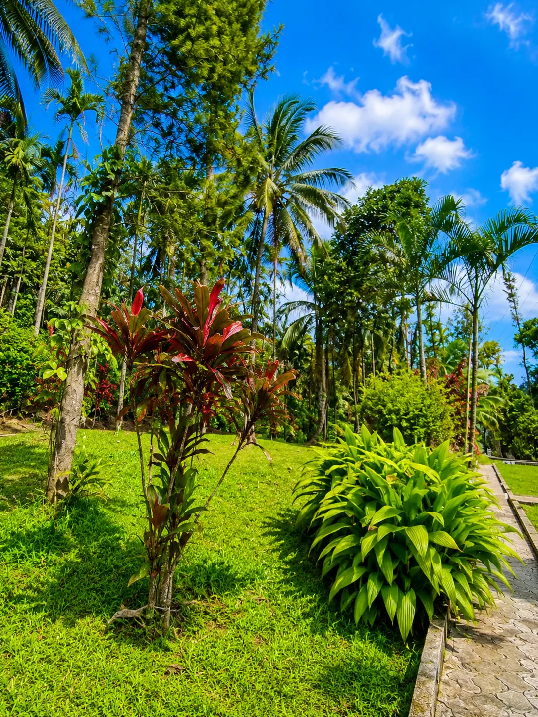 Nature view